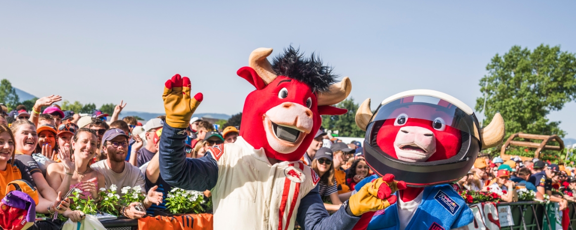 TRAINEE MARKETING & EVENTS AM RED BULL RING - APRIL BIS ENDE SEPTEMBER 2026 (m/w/d), 2. Bild